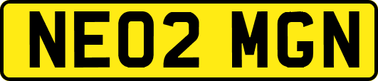 NE02MGN