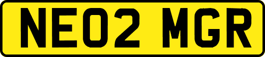 NE02MGR