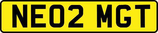 NE02MGT