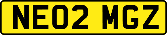 NE02MGZ