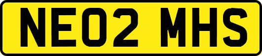 NE02MHS