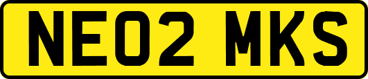 NE02MKS