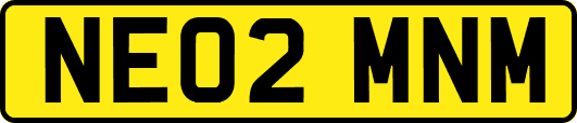 NE02MNM