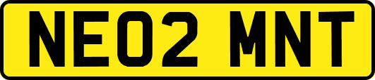 NE02MNT