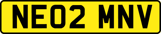NE02MNV