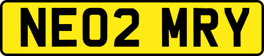 NE02MRY
