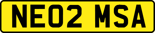 NE02MSA