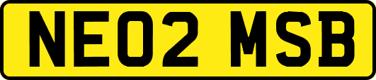 NE02MSB