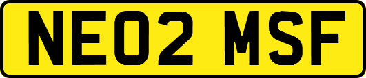 NE02MSF