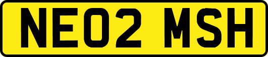 NE02MSH