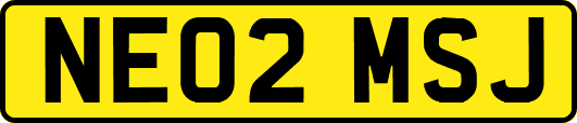 NE02MSJ