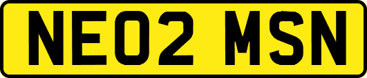 NE02MSN