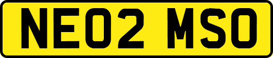 NE02MSO