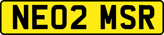 NE02MSR