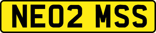 NE02MSS