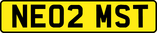 NE02MST