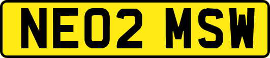 NE02MSW