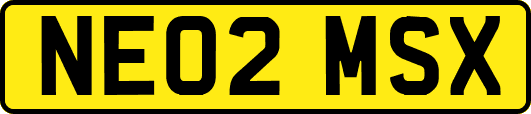 NE02MSX