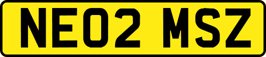 NE02MSZ