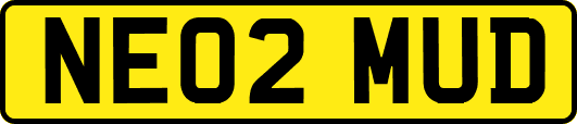 NE02MUD