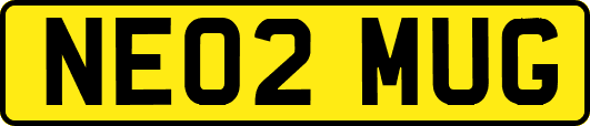 NE02MUG