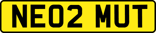 NE02MUT