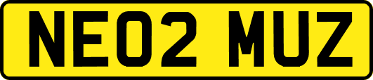 NE02MUZ