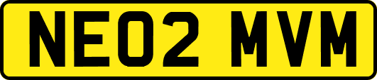 NE02MVM