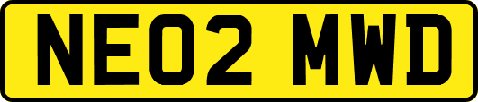 NE02MWD