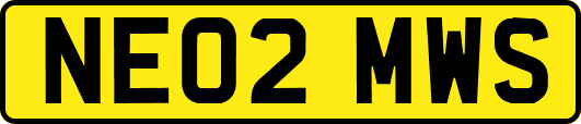 NE02MWS