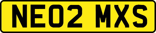 NE02MXS