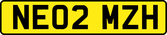 NE02MZH