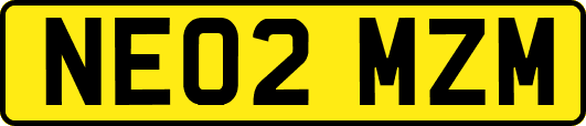NE02MZM
