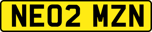 NE02MZN
