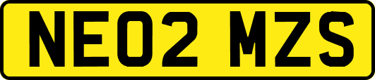 NE02MZS