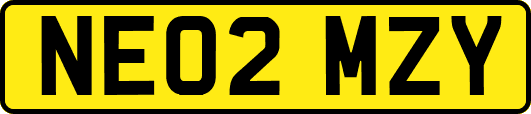 NE02MZY
