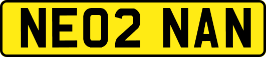 NE02NAN
