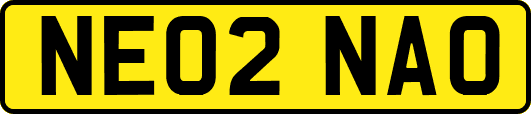 NE02NAO
