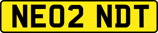 NE02NDT