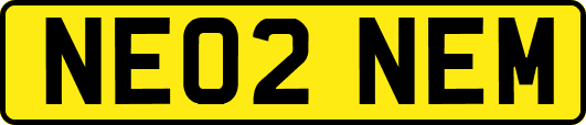 NE02NEM