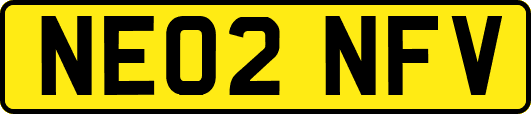NE02NFV
