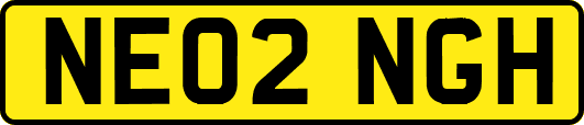NE02NGH