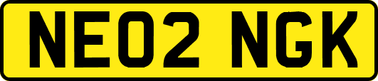NE02NGK