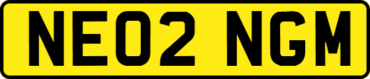 NE02NGM