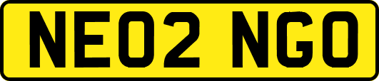 NE02NGO