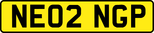 NE02NGP