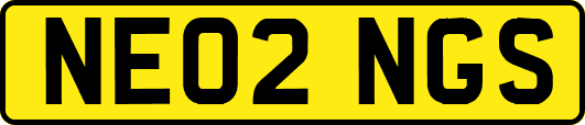 NE02NGS
