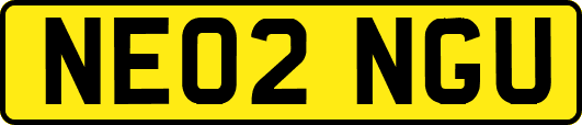NE02NGU