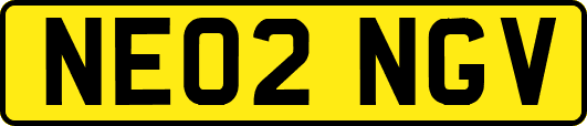 NE02NGV
