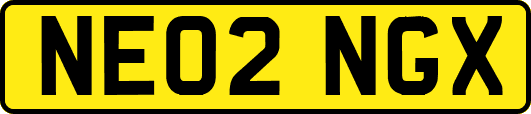 NE02NGX